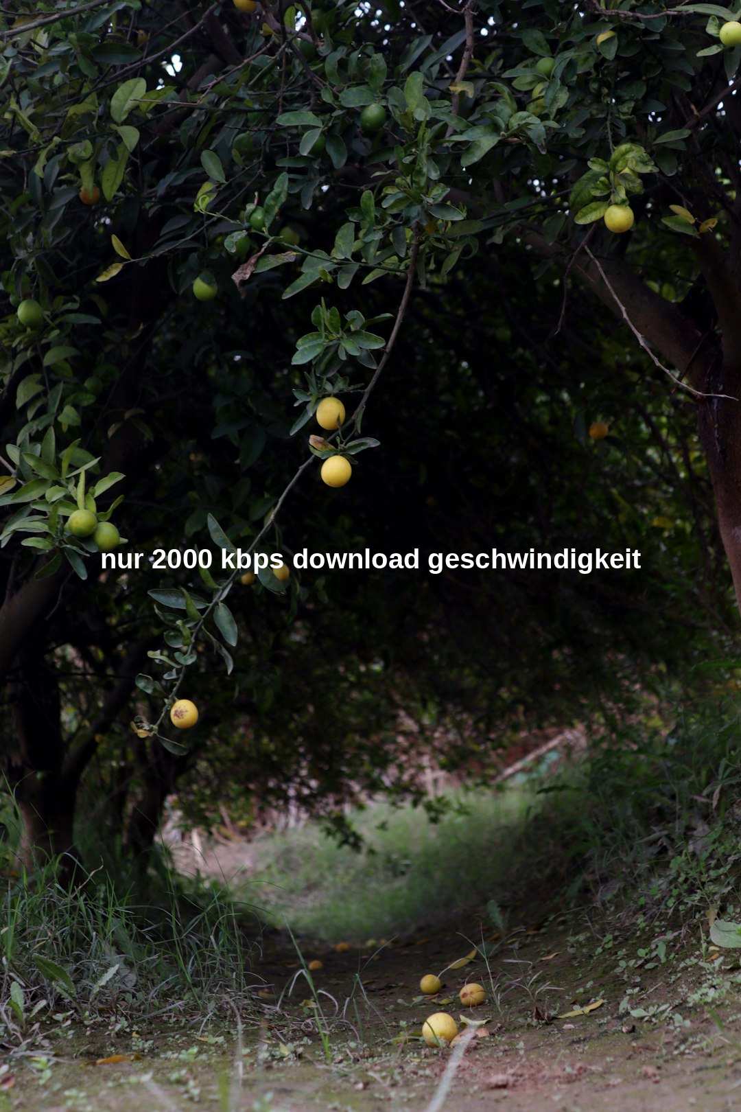 nur 2000 kbps download geschwindigkeit