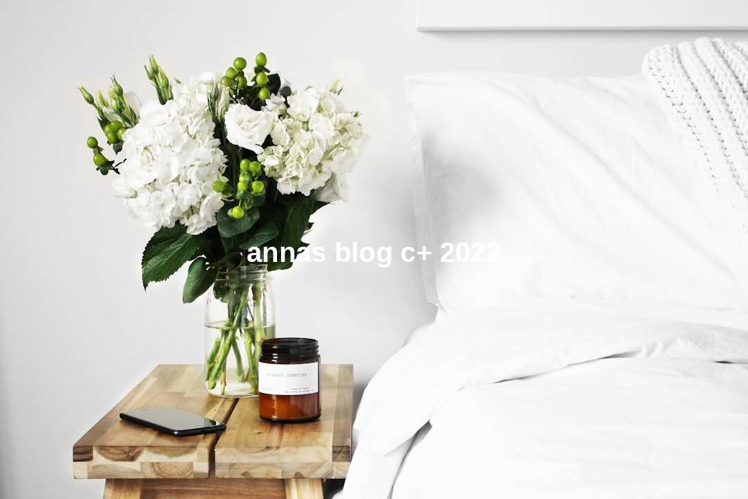 annas blog c+ 2022